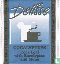 Cocalyptuss