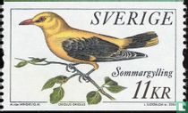 Oriole