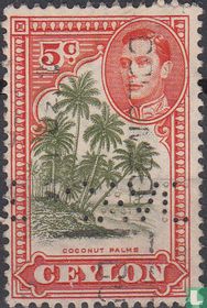 Cocotiers