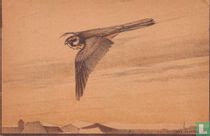 7. BOOMVALK (Falco subbutco), Blauwe wiekel, stootvalk.