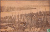 5. KIEVIT (Vanellus vanellus). Kieft, Ziiep.