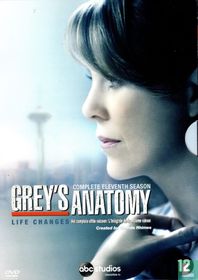Grey's Anatomy: Het complete elfde seizoen