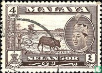 Sultan Abdul Aziz avec motifs nationaux