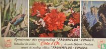 Specimens der verzameling "Faunaflor - Congo II" 