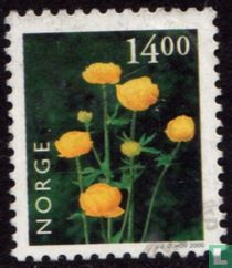 Globeflower for sale