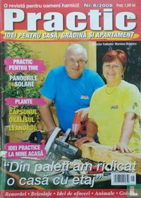 Practic Idei pentru casă 8 113