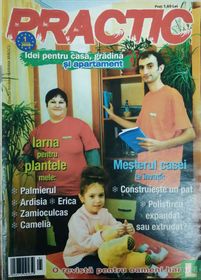 Practic Idei pentru casă 1 106