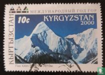  Year of the Mountains