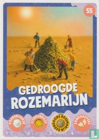 Gedroogde rozemarijn
