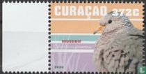 Birds of Curacao