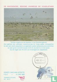Waddenzee