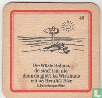 46 Die Wüste Sahara