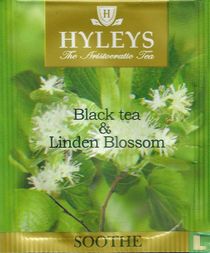 Black tea & Linden Blossom  