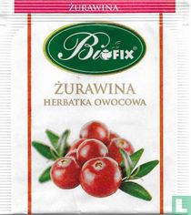 Zurawina 