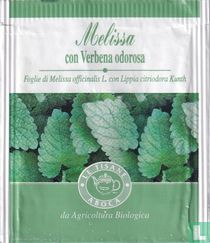 Melissa con Verbena odorosa