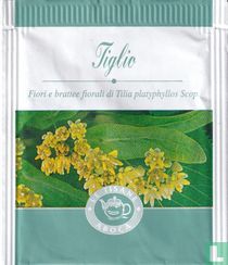 Tiglio