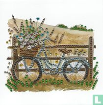 Zilveren fiets bij hekje