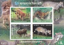 Special animals of Bangladesh