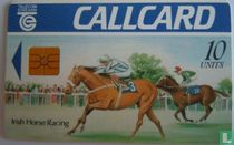 Irish Horse Racing acheter