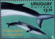 Whales