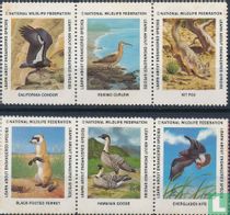 Fauna