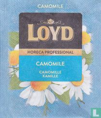 Camomile