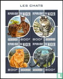 The cats