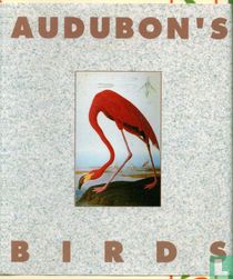 Audubon's Birds