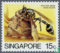Insectes acheter