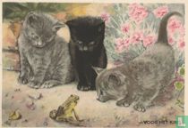 1953-01-4 Drie poezen met kikker