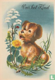 1954-02-3 Hond