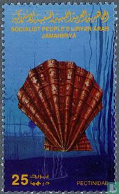 Mollusc shell