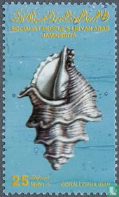 Mollusc shell