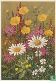 1965-06-2 Boterbloemen
