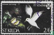 Oiseaux