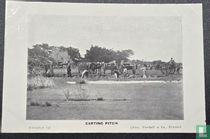 Carting pitch