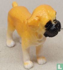 Chien