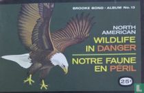North American Wildlife in Danger / Notre Faune en Péril