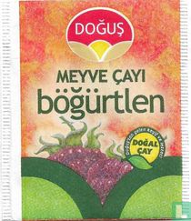 bögürtlen