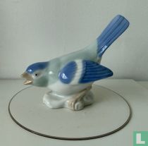 Blue bird