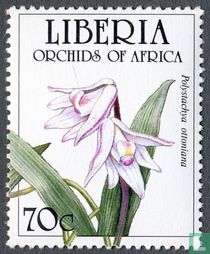 Orchids