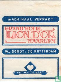Grand Hotel Lion D'Or