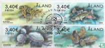 Treasures of the sea13,60