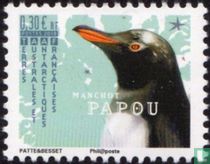 Pinguine kaufen