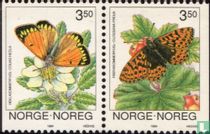 Papillons acheter