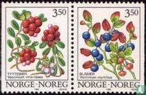 Fruits de la forêt acheter