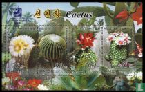Cactussen en logo postzegeltenoonstelling kopen
