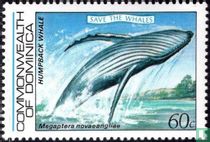 Baleines