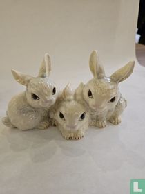 Rabbits