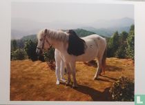 Horsehair, China, Fujian Province. Scarlett Hooft Graafland